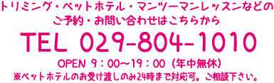 お電話でのご予約・お問い合わせはこちらから